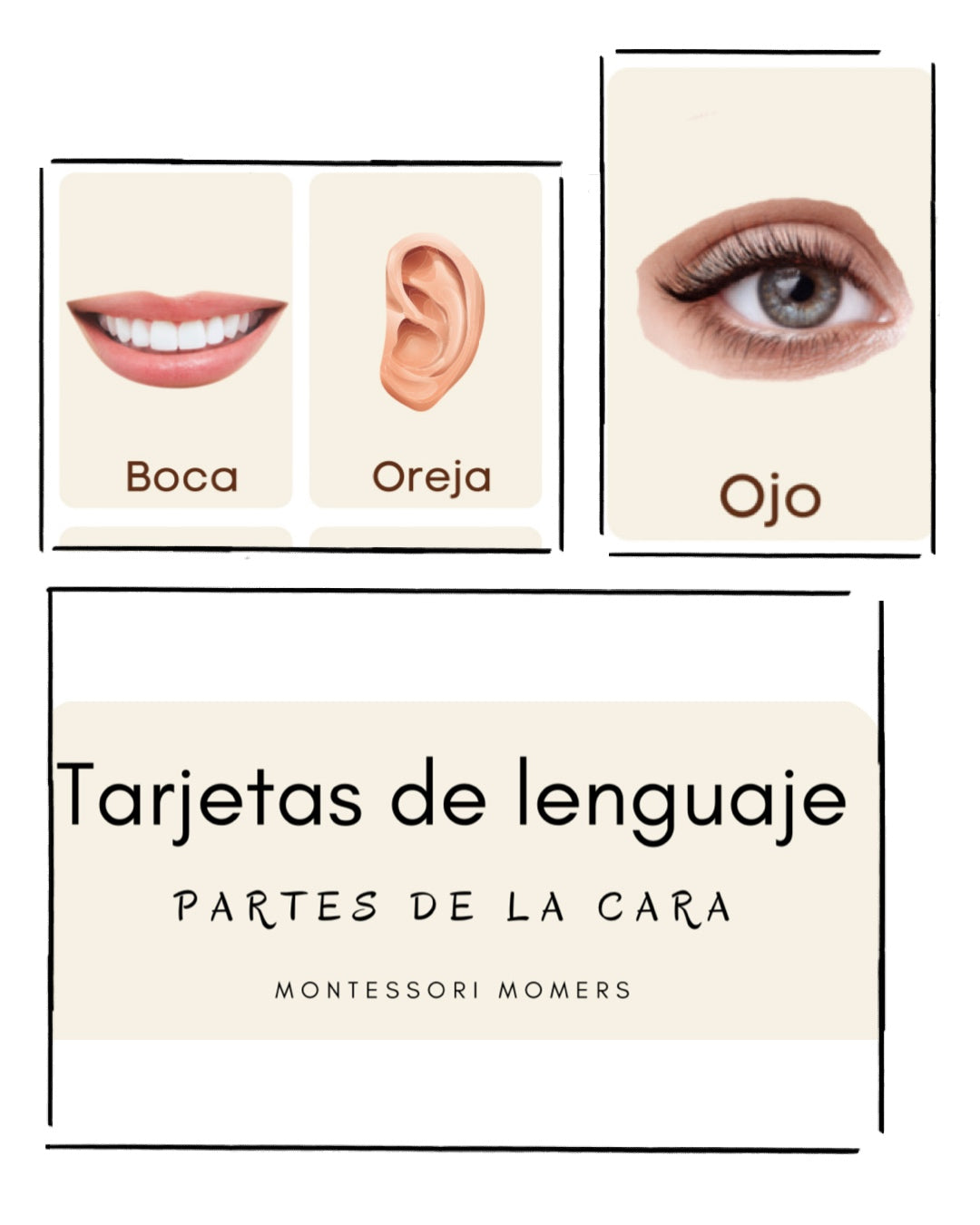 Tarjetas de lenguaje en tres partes: partes de la cara