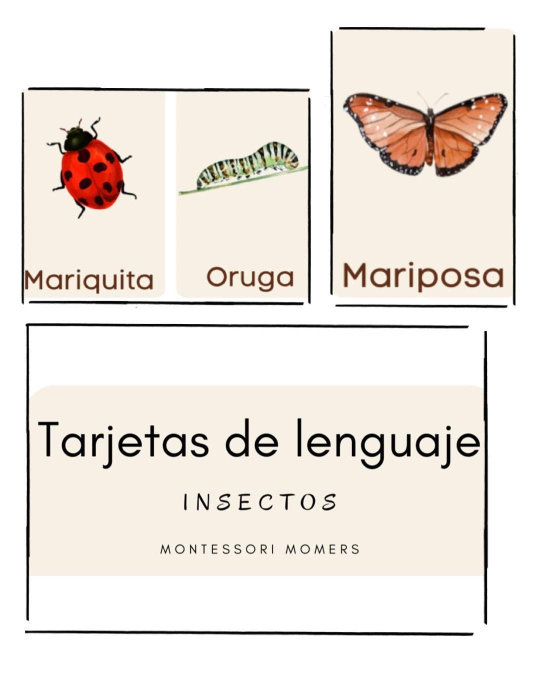 Tarjetas de lenguaje en tres partes: insectos - Montessori Momers