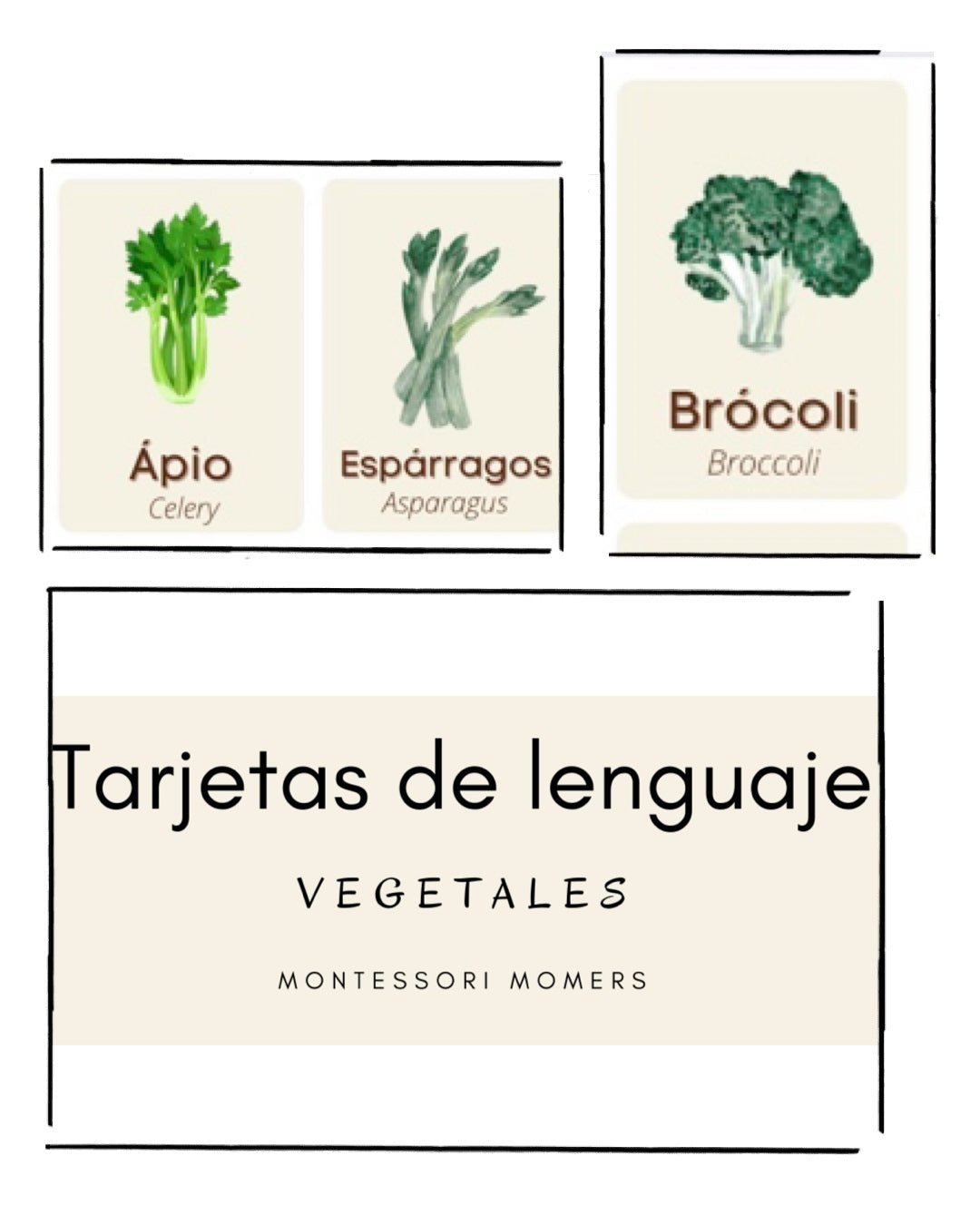 Tarjetas de lenguaje en tres partes: los vegetales - Montessori Momers